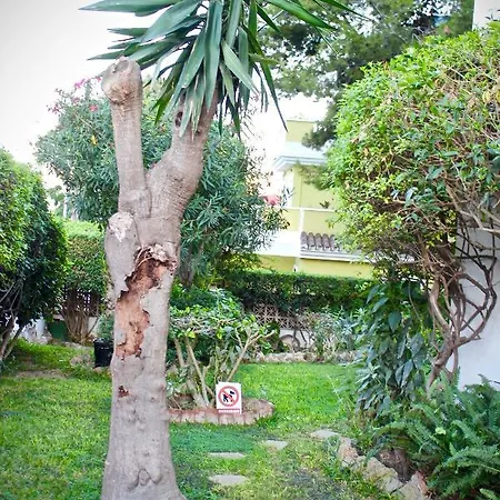 Holi-rent Carihuela Sunset Loft *